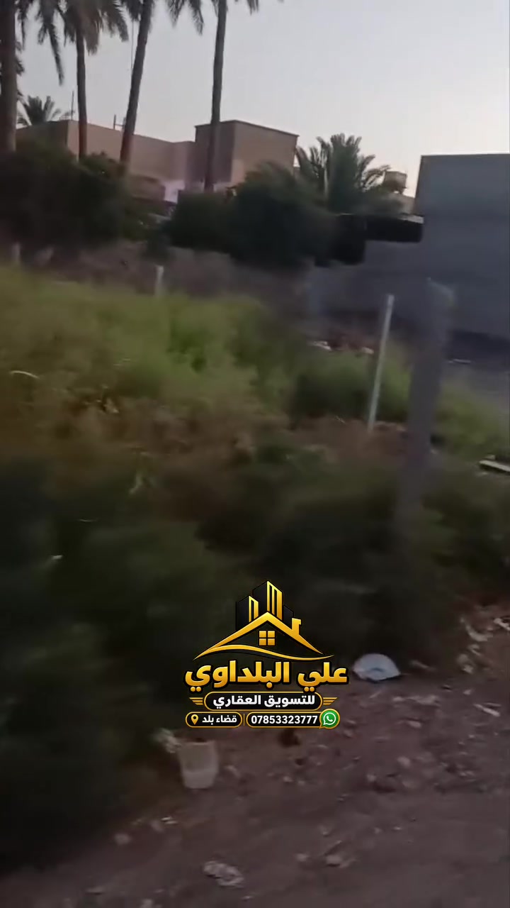 لا توجد تفاصيل
