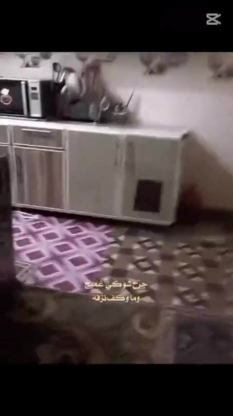 ٢٢٥م • غرفتين • ٣ صحيات