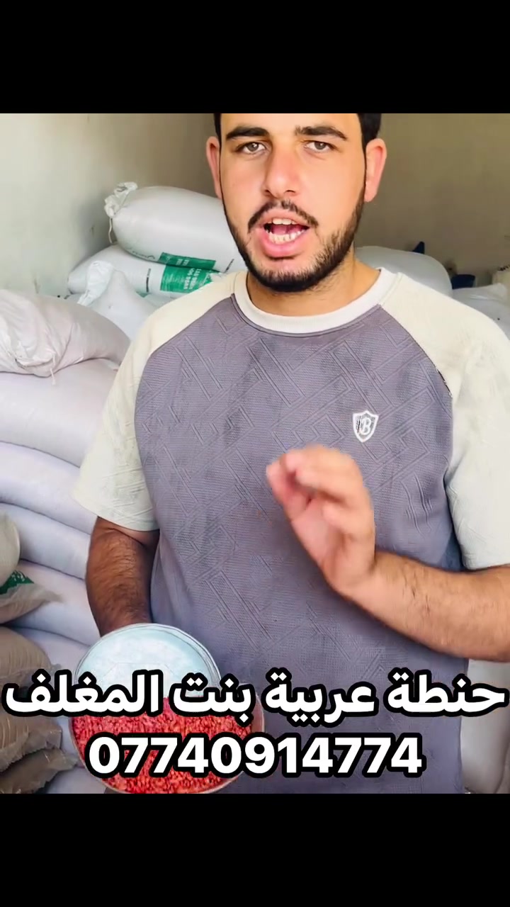 حنطة عربية • بنت المغلف • القيارة