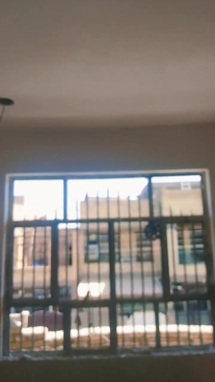 نشتغل جص وبورك وتشميع
