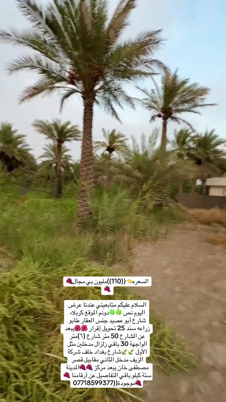 كربلاء • ١٢٥٠م • طابو زراعة