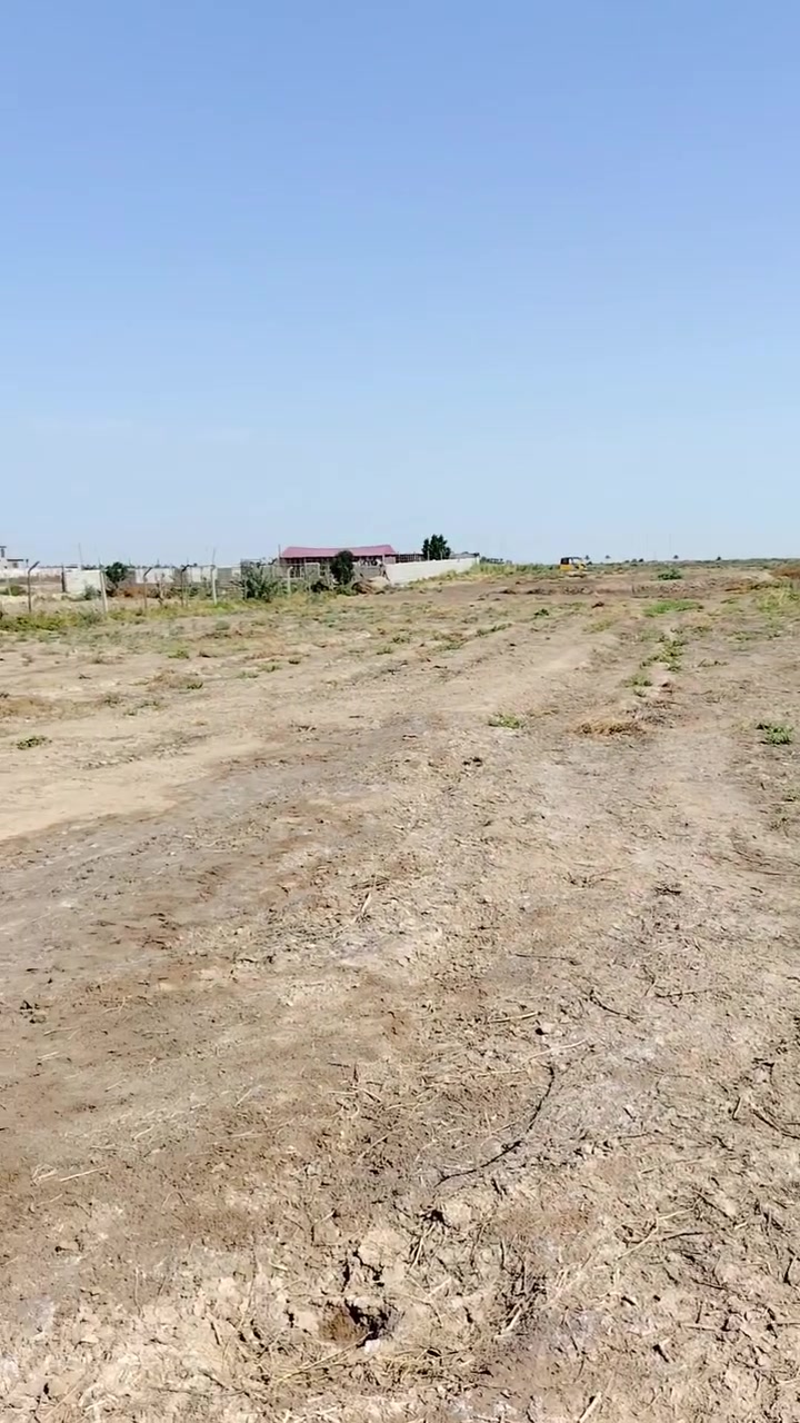 دونم • الجسر الفرنسي • ام عبيد