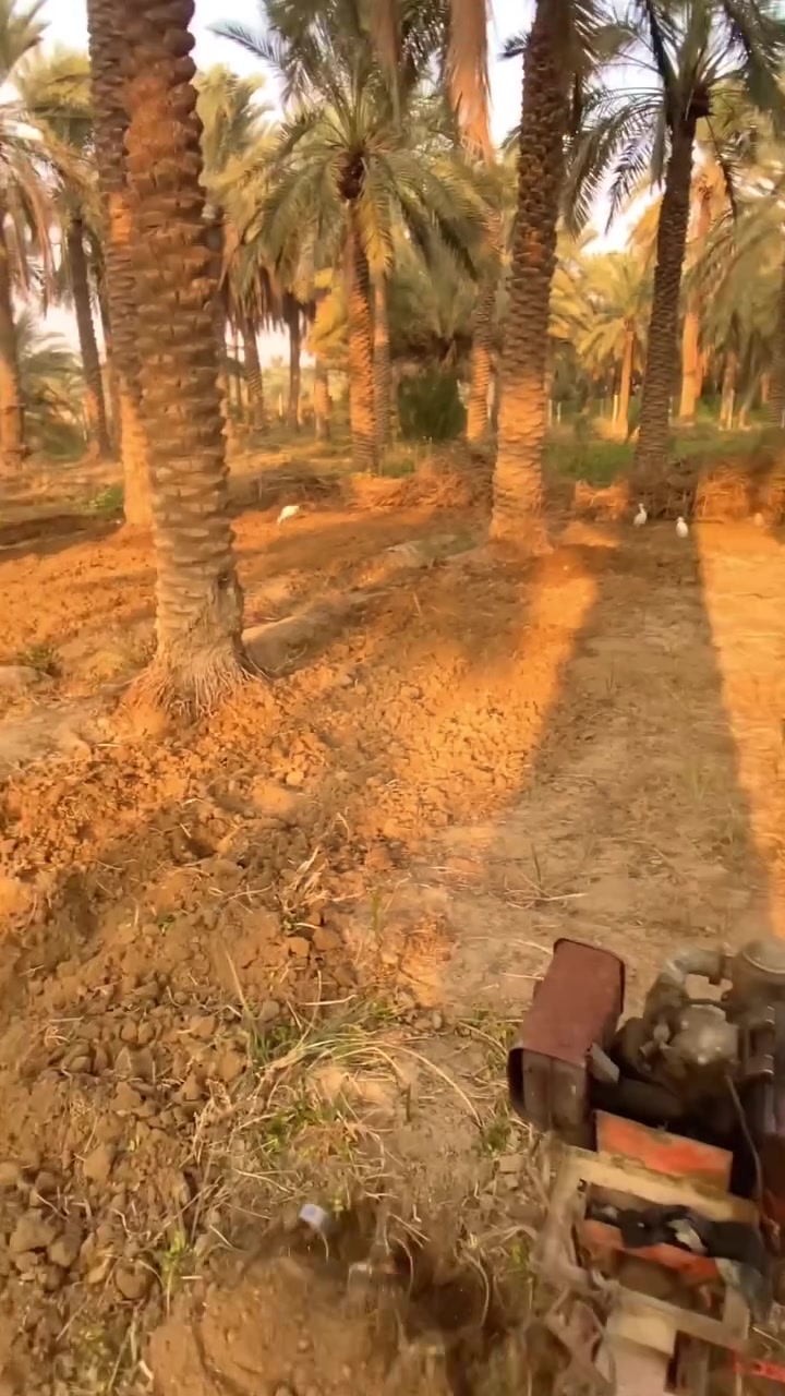 السلام عليكم ، يوجد كاروبه يدويه للشغل، شغل درجه اولى وهذا شغلي مثل ماموضح بالفيديو ، للتواصل الخاص مفتوح وهذا رقمي واتساب ***********
ورقم الاتصال ***********
