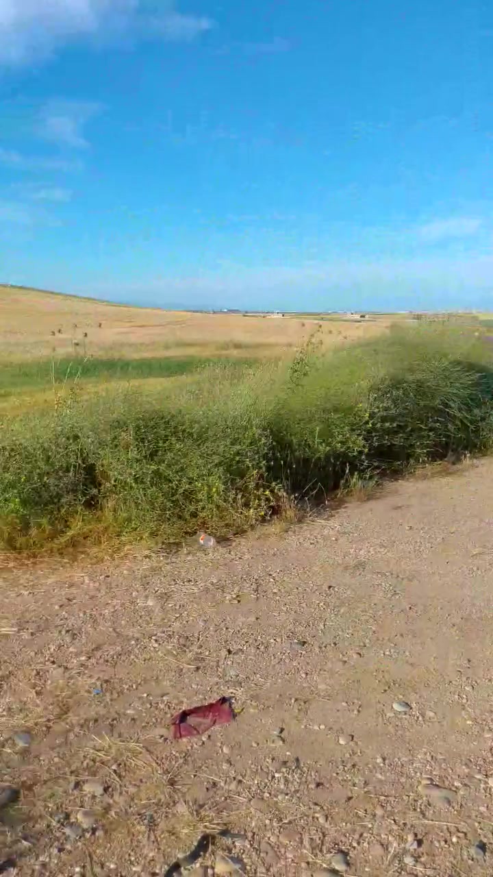ارض مقبرة • منشاة الجابر • ١٠٠م