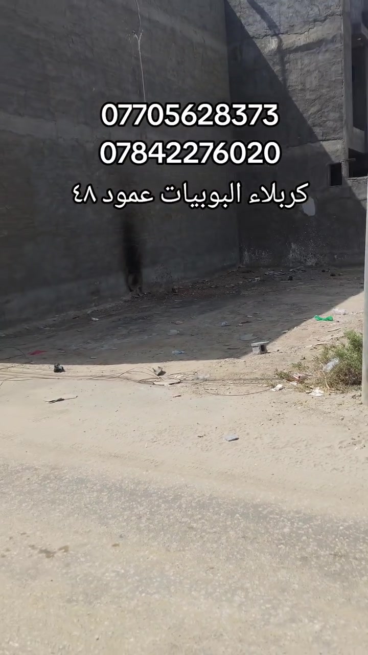 كربلاء • البويبيات • عمود ٤٨