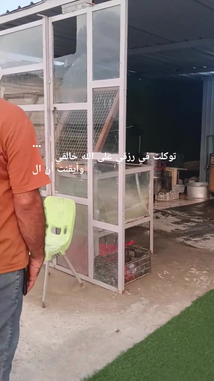 مشويات • دجاج مسكوف • تجهيز مناسبات