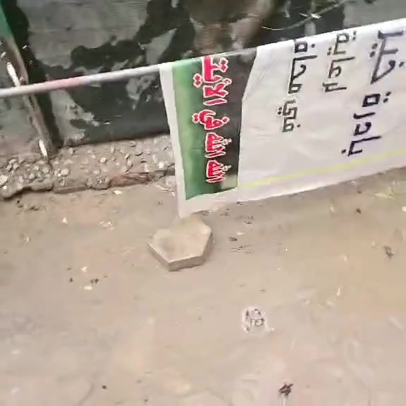 مرجوحه تسكام  كلفتني ٢٥٠
اريدها ب١٢٥ قفل 
مكاني. ناصرية  صالحية ...
***********
