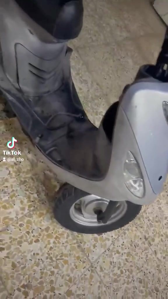 ماكس منغولي • طافيه • اغراضه