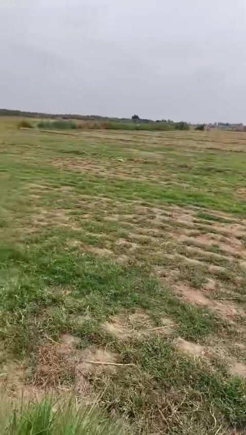 قطعة أرض • ٦ دونم • بسمايه جعاره