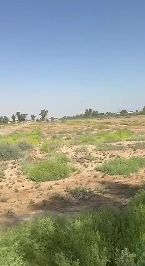 العزيزية واسط • ٢٠ دونم • ماء كهرباء