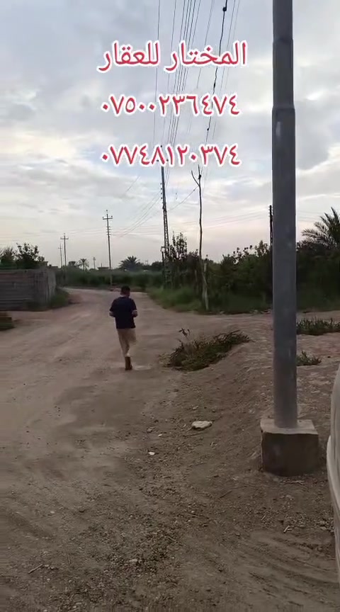 فلوجه الشهداء • مزرعه دونم • طابو سند ٢٥