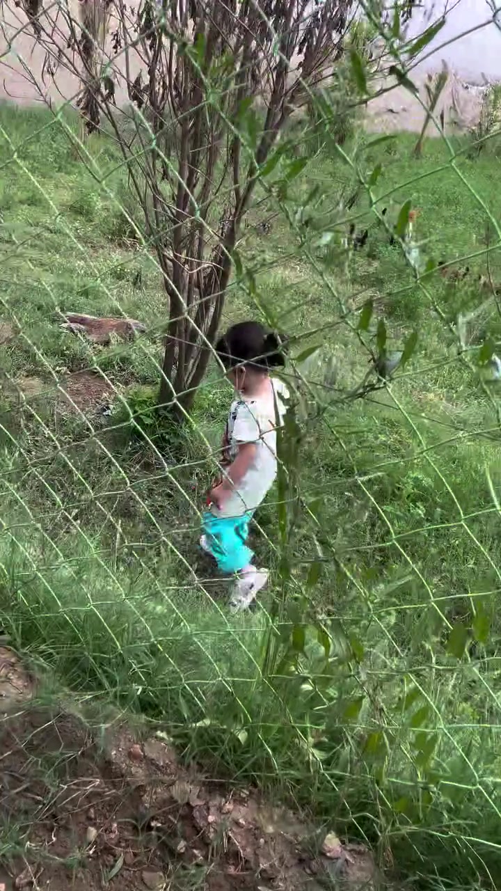 طابو صرف • دونمين وشوية • مسبح جاهز