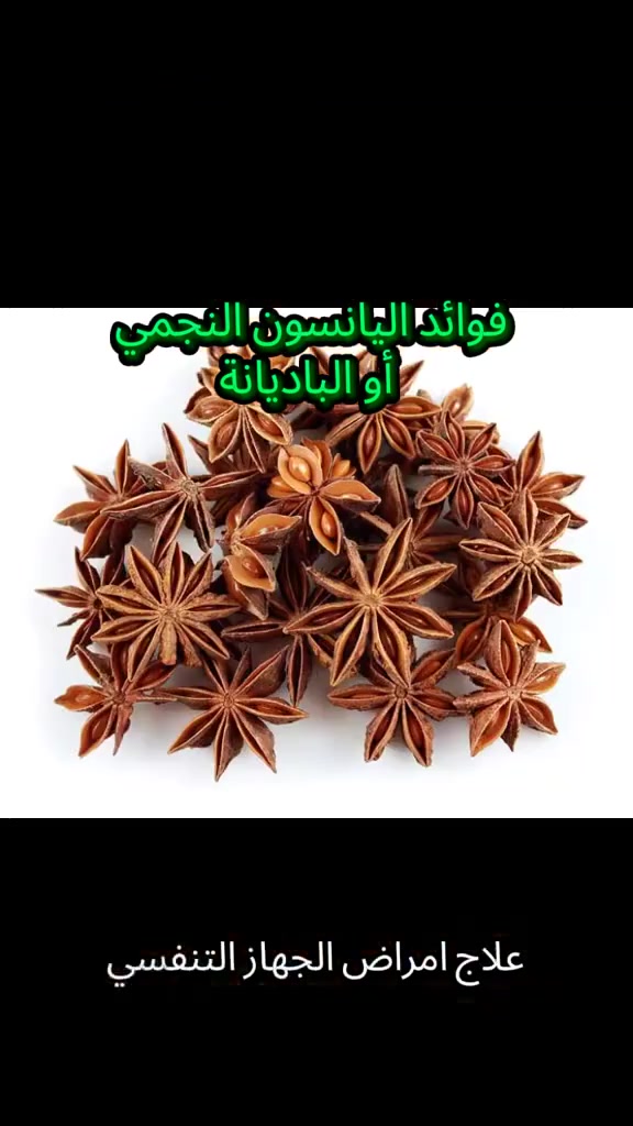 الينسون النجمي • عطاريات الرياض • جملة ومفرد
