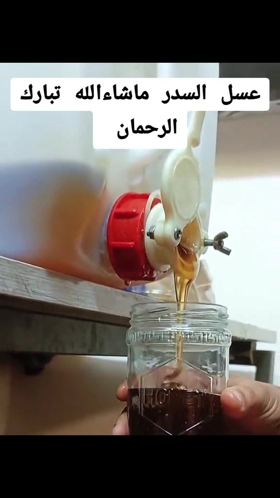 عسل سدر • طبيعي • كيلو