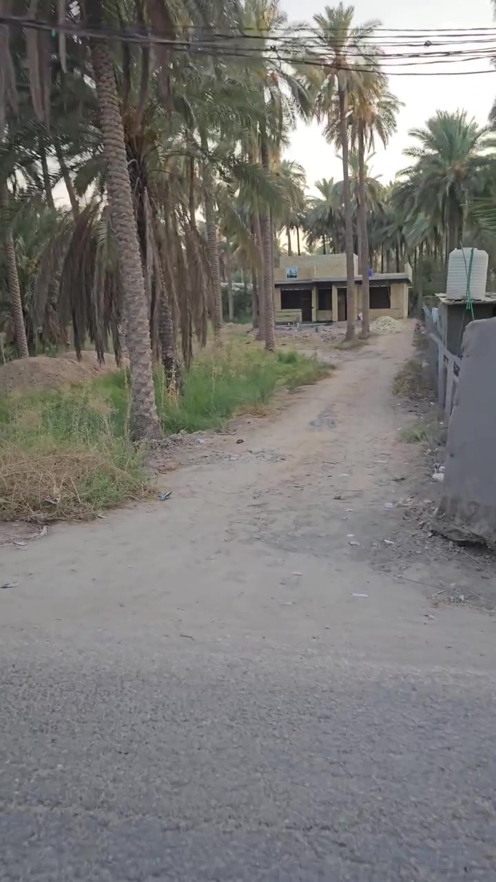 السلام عليكم .
اللهم صل على محمد وآل محمد. 
(نصف دونم ) طابو زراعي سند ٢٥ . 
(تحويل اسهم ).
العنوان :كربلاءالمقدسة / قضاء الحسينية/منطقة الشاهر.
#مدخلين للبستان من طريق كربلاء بغداد 
#ومن طريق الحسينية 
للاستفسار اكثر الاتصال على الأرقام(***********و *********** )
#المكتب_مجاز_رسمياً
للمزيد من العروض تابع الصفحة .#الجميع
