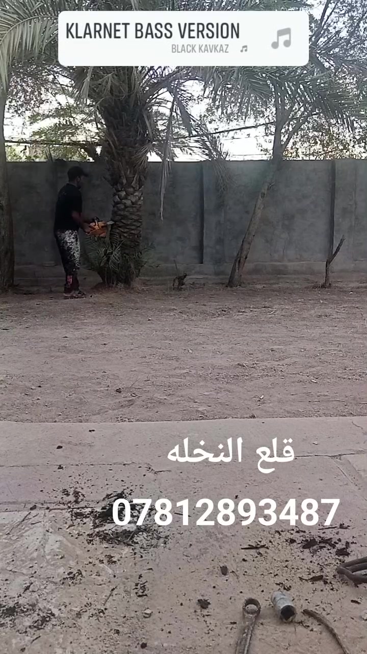 قلع النخله والاشجار ***********
