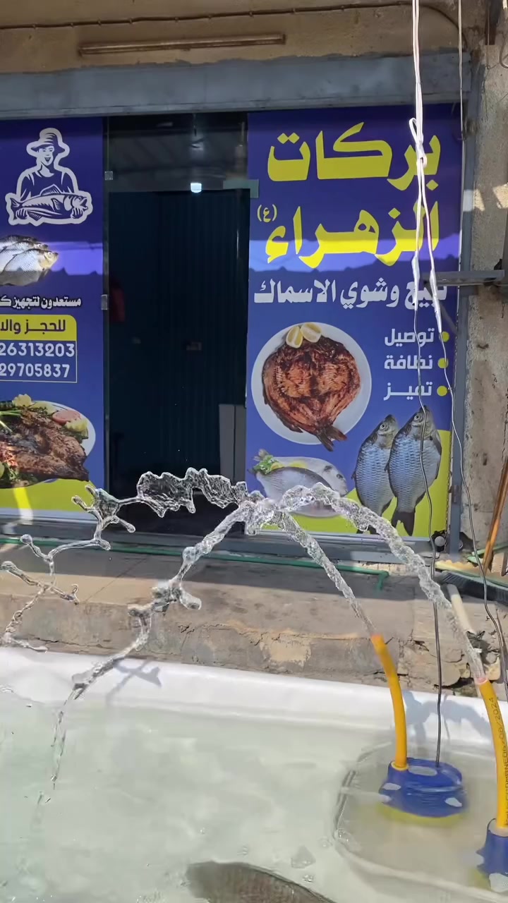 الكيلو 5000 شوي عالحطب تتبيلات خاصه 1️⃣💯
كافة الاوزان متوفره كميات خير من الله
متواجدين بالمحل من الـ6الصبح للـ6 العصر
العنوان ال باني شارع الكفيل مقابل مدرسة النهرين الاهليه
للطلب *********** واتساب او مراسلة الصفحه
حياكم الله وكل الهلا 💙🤍
