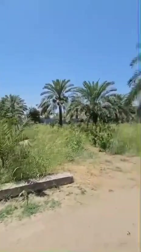 مزرعة للبيع _ الكاظمية الطي

المساحة: 2000م²
الواجهة: 25م | النزال: 80م

تحتوي على:
بيت 140م جاهز وغير مسكون، حديقة كبيرة، باربكيو، نخيل وأشجار فاكهة.

تابعة للوقف السني
الإيجار السنوي: 150 ألف
السعر: 350 مليون، قابل للتفاوض البسيط. للتواصل على الارقام ***********
***********