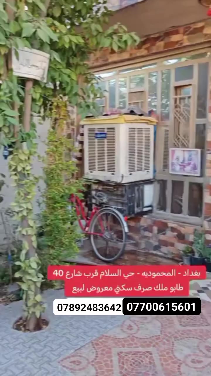 المحمودية • حي السلام • طابو ملك