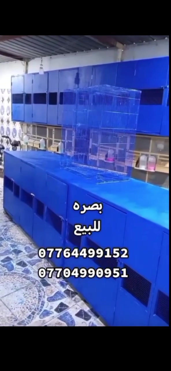 محكر • بصره هارثه