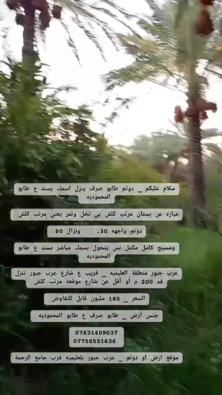 سلام عليكم _ دونم طابو صرف ينزل اسمك بسند ع طابو المحموديه
عباره عن بستان مرتب كلش بي نخل وتمر يعني مرتب كلش 

دونم واجهه 30.    ونزال 80 

ومسيج كامل مكمل بس يتحول بسمك مباشر بسند ع طابو المحموديه 

عرب جبور منطقة العليميه _ قريب ع شارع عرب جبور تنزل فد 200 م أو أقل عن شارع موقعه مرتب كلش 

السعر _ 165 مليون قابل للتفاوض 

جنس أرض _ طابو صرف ع طابو المحموديه 

***********
*********** 

موقع أرض أو دونم _ عرب جبور بلعليميه قرب جامع الرحمة
