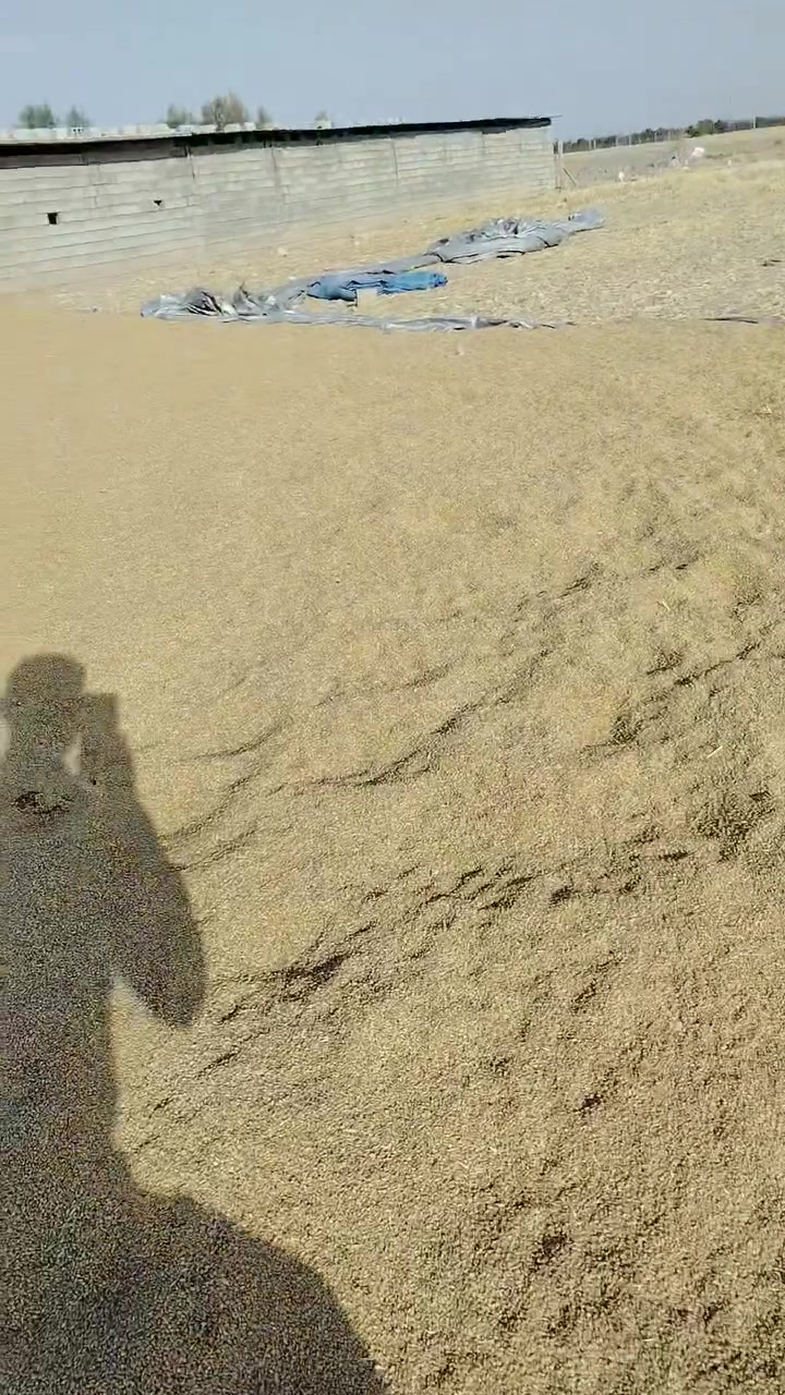 ٤٠ته ن گه نمي جوان بؤفرؤشتن
***********
