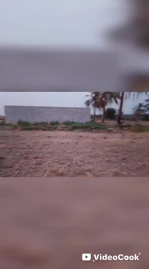 كوفة قرب الكم • ٤٠٠٠م • سند ٢٥