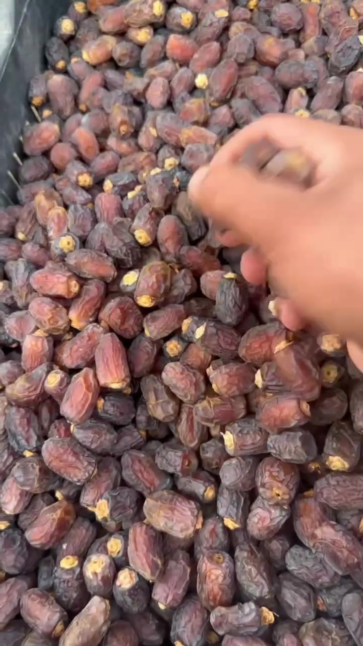 تمر بريم • درجة اولى • الصويرة واسط
