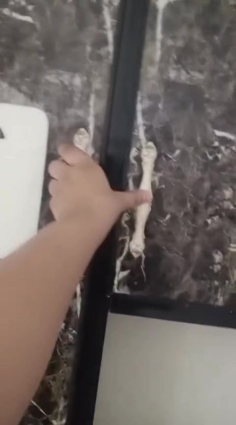 كاونتر والسنك للبيع اخو الجديد استخدام قليل عنوانه بغداد الرشاد للاستفسار مراسله خاص او الواتساب ***********
