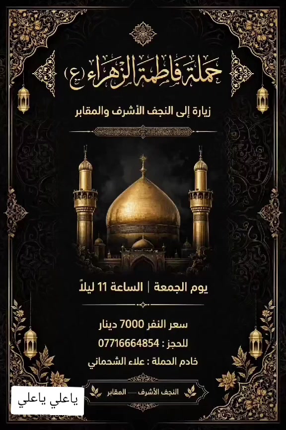 حملة فاطمة الزهراء • زيارة النجف • الجمعة ١١ ليلاً