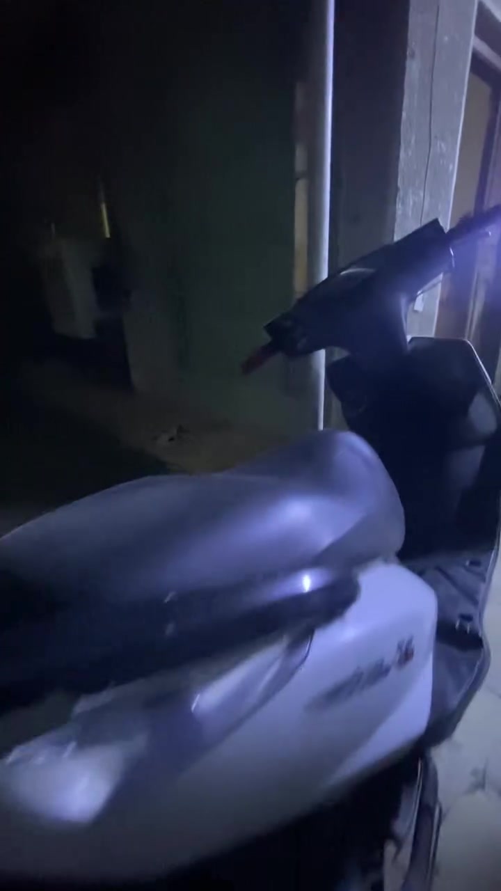 ماكس ثعلب • كفالة • نظيف ٩٠٪