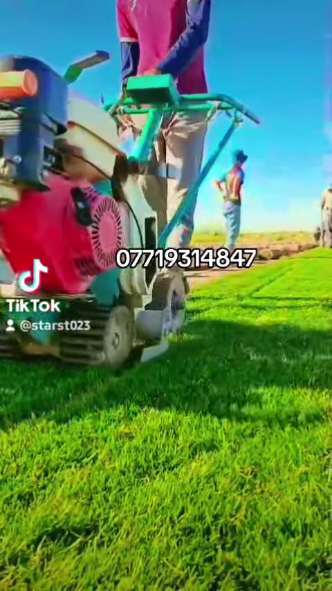 زبائننا الكرام 
متوفر كافة انواع الثيل الطبيعي 
الثيل الامريكي🌿الثيل الهندي🌿الثيل الايطالي 🌿الثيل الفرنسي
مع كادر مختص يجيك لباب بيتك
بسعر مناسب وكفاءة عالية
نجهز كل انواع الحدائق
والملاعب والمتنزهات 💚
الاسعار تختلف بختلاف النوع
ثيلنة الافضل
وتوصيلنة الاسرع 🚙🚚

للطلب او الاستفسار التواصل مع الصفحة او الاتصال على الرقم التالي

***********
***********@
