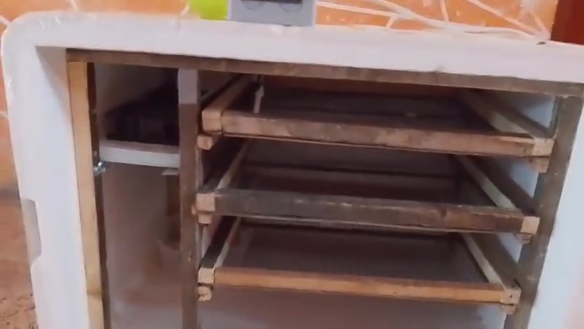 فقاسه شغل درجه اوله
دبل فان. قياس حراره+ رطوبه من افضل الجهزه+حوض ماء رطوبه طوافه فلينه اكبر حجم 
3 مجرات كل مجره تشيل طبقتين
***********
