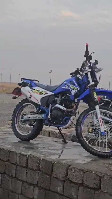 قفاز كاويار • ٢٠٢٥ • ٢٠٠