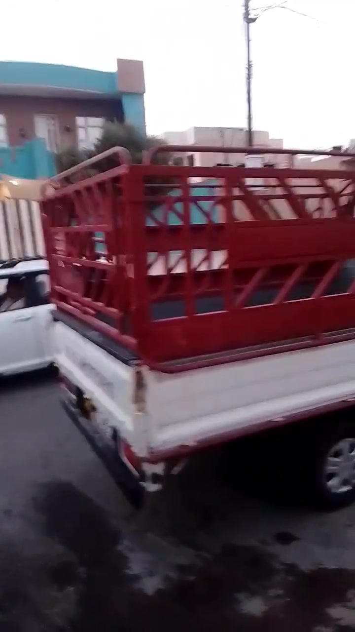 محجل مل كيه فنتيره ام عيون نضيف حيل 200الف بيه مجال مكان موصل حي البكر ***********
