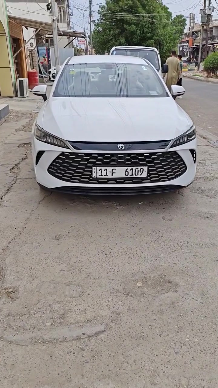 داخل ابيض • مكفولة • رقم بغداد
