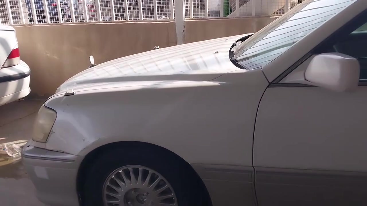 ملكه • ٢٠٠٤ • رقم صلاح الدين