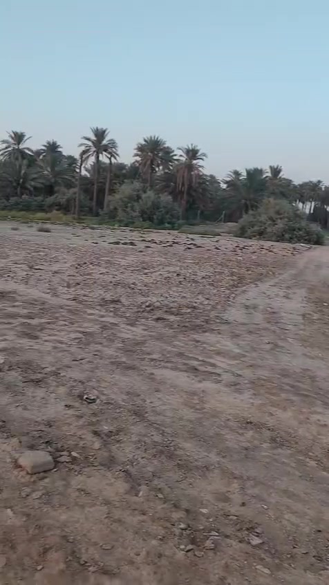 بين القاسم والهاشمية • ١٢٥٠م • طابو زراعي