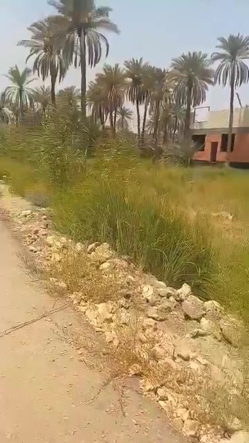 شارع السيدة زينب • ٢٠٠م • واجهه ١٨