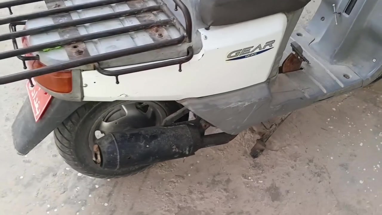 وزوازه • شغال صلف • سرعة 60