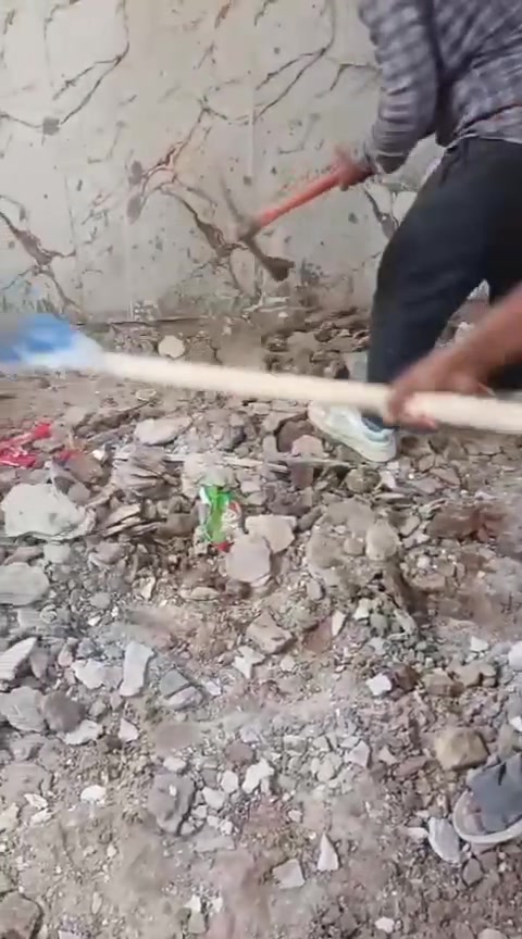 السلام عليكم كادر عمال تصعيد كافة مواد البناء على الضهر رمل طابوك تصعيد سيراميك اشتايكر كاشي فرمستون تكشير حيطان تفليش صب ابيوت تدخيل سبيس وحدل نقل اثاث البيت تصعيد اتراب السطح وحدل تشميع بتلو مساوه تطليع أنقاض قلع تراب قلع كاشي نعمل بنسب لأسعار شرط شغل درجه اولى خابرني وبخدمتكبية واتساب أي شي عندك خاص بلبناء خابرني أو راسني واتساب عملنا ليلا ونهار ***********
