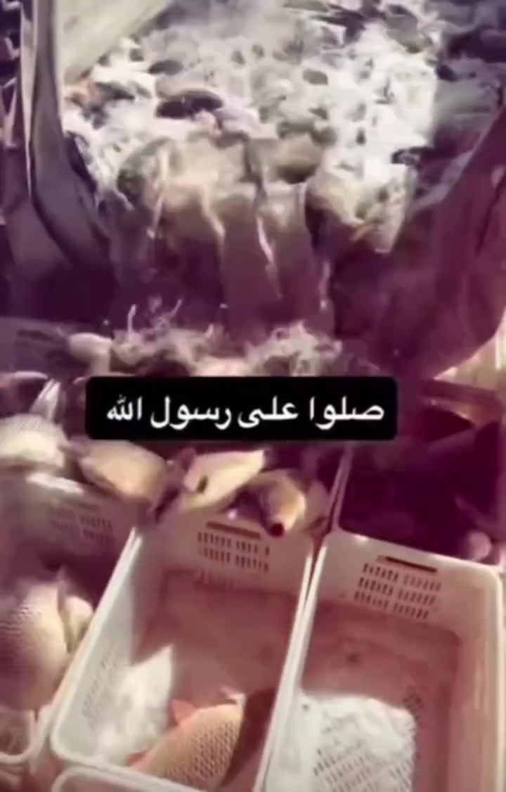 تيم المشوار • توصيل سريع • آمن وموثوق
