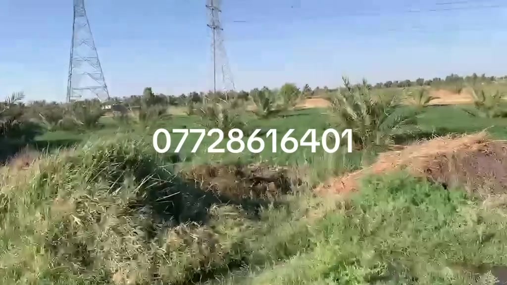🚨🚨اعلان رقم (366)بستان 16 دونم للبيع 📍طريق محمد سكران 🌍جنس الارض طابو زراعي 25مكتب الفهد ***********☎️***********
الاستفسار اكثر مراجعة مكتب الفهد ***********☎️***********

المكتب مستعد لستقبال عروضكم على مدار اليوم
اوقات الدوام من ٩ صباحا
الي ١٠ ليلا
⚠️موقع المكتب 
شمال بغداد منطقة الانتصار الراشدية 
مقابيل مستشفى حماد شهاب 💫 
 #بيوت #مشتملات #بيع #شراء #استثمار #الحسينية #عقارات_بغداد #العراق #بغداد #عقارات_الحسينية #طابوملك_صرف #سكني #عقارات #موصل_بغداد_كركوك_حله_نجف_بصره #العراق_السعوديه_الاردن_الخليج #المحافظات_العراقية #بصره_بغداد_ميسان_ذي_قار_كل_المحافظات #اوربا_المانيا_النمسا_هولند #الخليج #دبي_قطر_الاردن_لبنان_العراق #العالم #انجاز #مقالب #سؤال #الشعب_الصيني_ماله_حل #اكسبلور #ريلز #متابعين #هاشتاق #بغداد_بصرة_موصل_الكويت_الخليج_دبي 💫اخوكم وخادمكم مروان السراي
