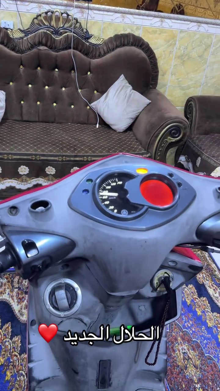 سكنس فحل • ياباني • اوراقه