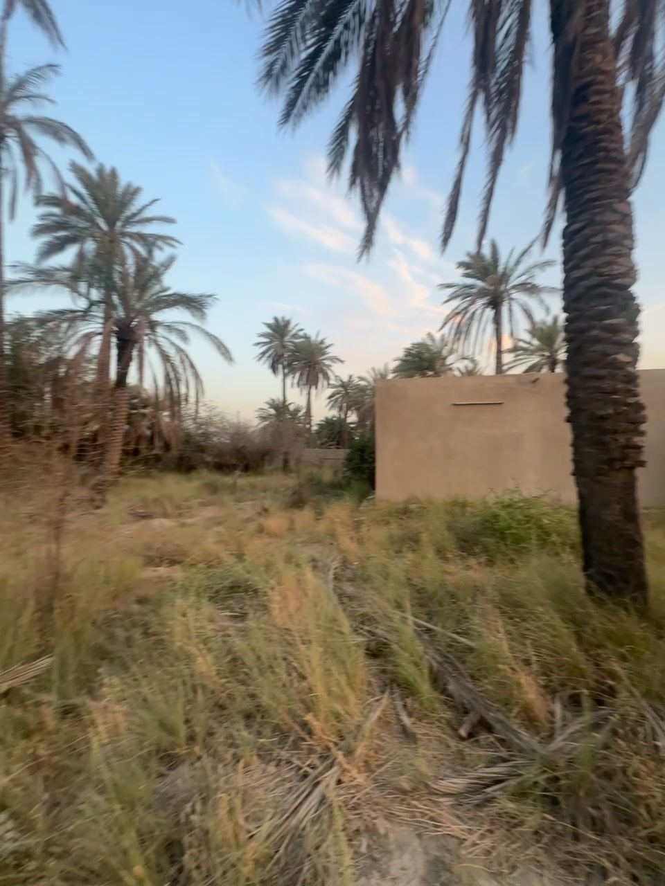 بستان للبيع طابو ملك صرف 
مساحته دونمين واقع حال ( دونم بالسند)
 البستان مطل على نهر ويحتوي على بيت صغير
سعر البيع  ب 425 مليون دينار
مكانه في جسر ديالى ( الكرغولية)
للاستفسار والشراء يراسل خاص
