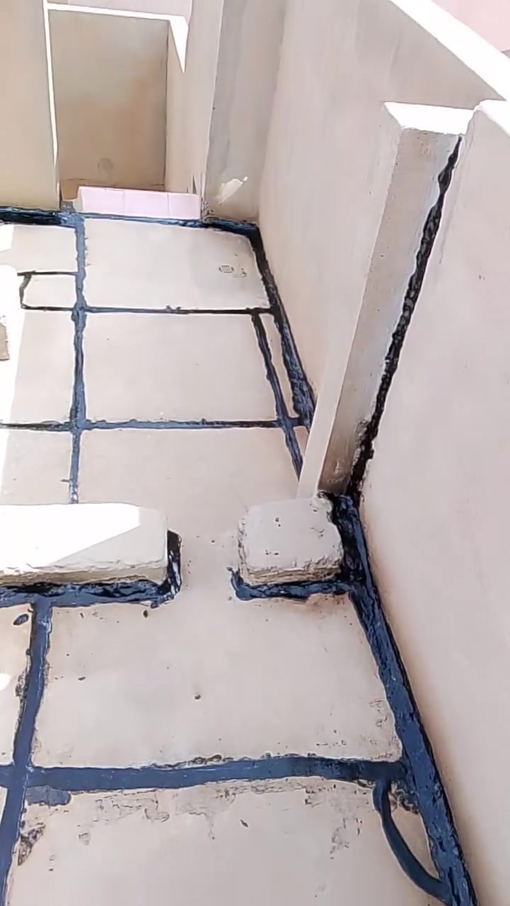 ماستيك • فلانكوت • وايزوكام