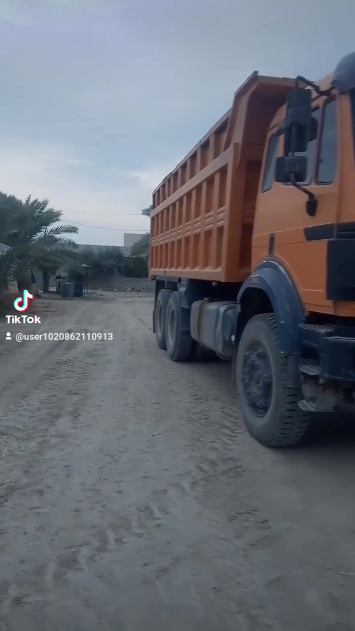 كرواتي • كفالة عامة • ١٩٩٩