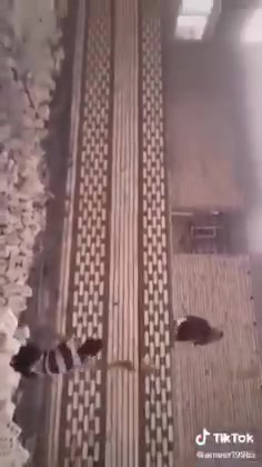 بناء طابوك • شغلي • بغداد