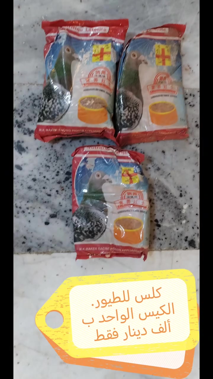 بغداد • المنصور • واتساب