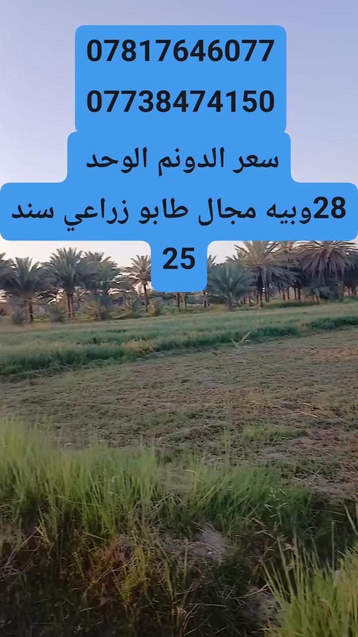 ١دونم • طابو زراعي • الدسميه